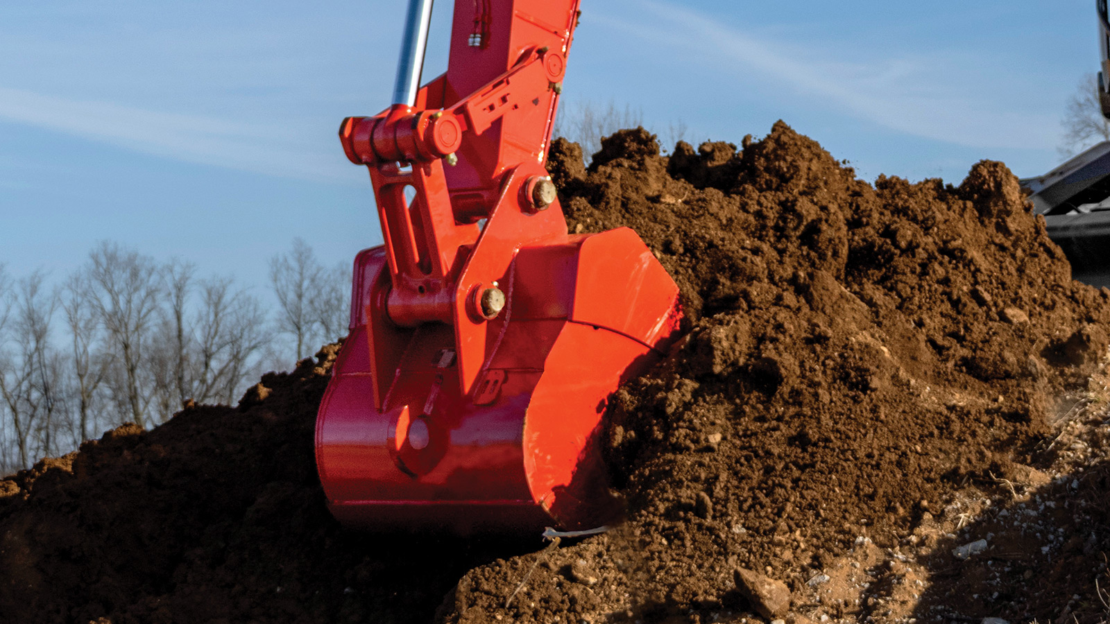 lar dorf